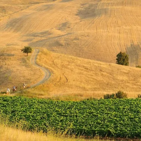 In With Pool & Olive Views Casa de Férias