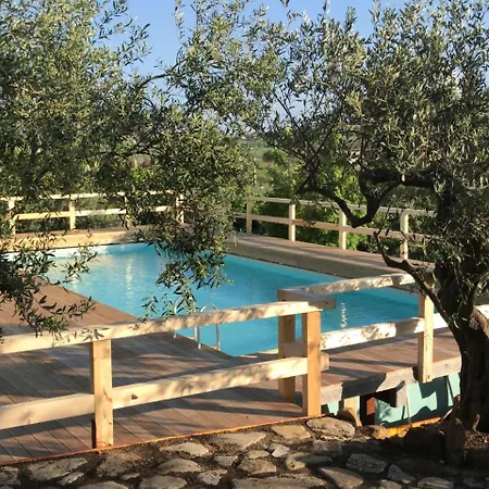In With Pool & Olive Views *
