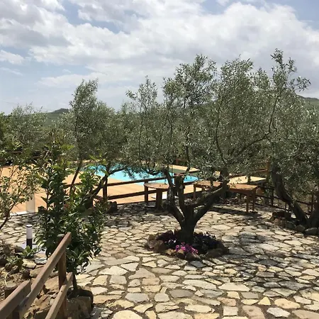 In With Pool & Olive Views 펜션 알리아